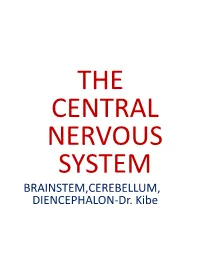 BRAINSTEM,CEREBELLUM, DIENCEPHALON-Dr. Kibe INTRODUCTION the Brain Is One of the Largest Organs in Adults