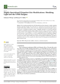 Highly Specialized Ubiquitin-Like Modifications: Shedding Light Into