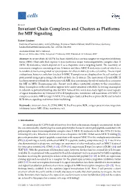 Invariant Chain Complexes and Clusters As Platforms for MIF Signaling
