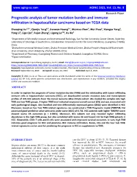 Prognostic Analysis of Tumor Mutation Burden and Immune Infiltration in Hepatocellular Carcinoma Based on TCGA Data
