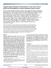 Tagging Single Nucleotide Polymorphisms in Cell Cycle Control Genes and Susceptibility to Invasive Epithelial Ovarian Cancer