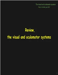 Vision Lecture 13 Notes: Review of the Visual System
