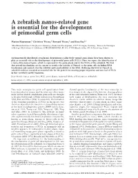 A Zebrafish Nanos-Related Gene Is Essential for the Development of Primordial Germ Cells