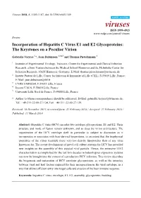 Incorporation of Hepatitis C Virus E1 and E2 Glycoproteins: the Keystones on a Peculiar Virion