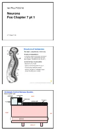 L03 Neurons to Post.Key
