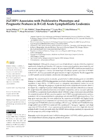 IGF2BP3 Associates with Proliferative Phenotype and Prognostic Features in B-Cell Acute Lymphoblastic Leukemia