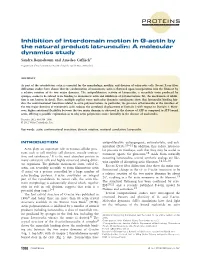 Inhibition of Interdomain Motion in Gactin by the Natural Product Latrunculin: a Molecular Dynamics Study