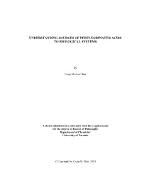 Thesis Outline