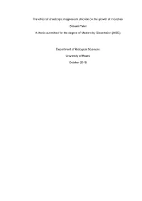 The Effect of Chaotropic Magnesium Chloride on the Growth of Microbes