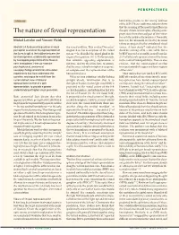 The Nature of Foveal Representation Projections from the Nasal Part of the Retinae to Reach the Ipsilateral Hemispheres