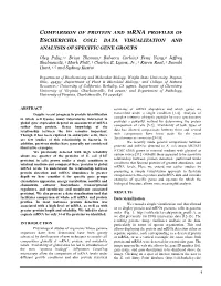 Comparison of Protein and Mrna Profiles of Escherichia Coli: Data Visualization and Analysis of Specific Gene Groups