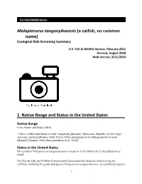 Malapterurus Tanganyikaensis (A Catfish, No Common Name) Ecological Risk Screening Summary