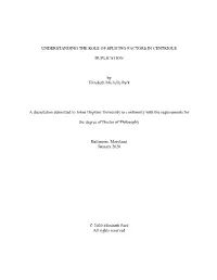 UNDERSTANDING the ROLE of SPLICING FACTORS in CENTRIOLE DUPLICATION by Elizabeth Michelle Park a Dissertation Submitted to John