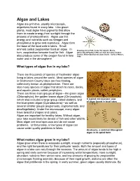 Algae and Lakes Algae Are Primitive, Usually Microscopic, Organisms Found in Every Lake
