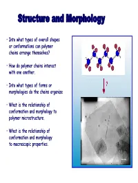 Structure and Morphology