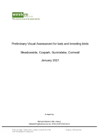 Preliminary Visual Assessment for Bats and Breeding Birds