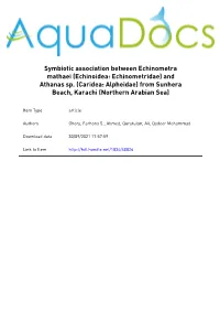IMPACTS of SELECTIVE and NON-SELECTIVE FISHING GEARS