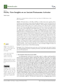 PA28: New Insights on an Ancient Proteasome Activator