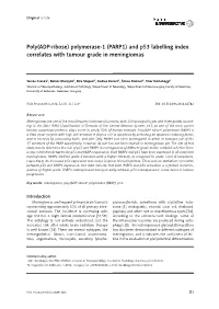 Poly(ADP-Ribose) Polymerase-1 (PARP1) and P53 Labelling Index Correlates with Tumour Grade in Meningiomas
