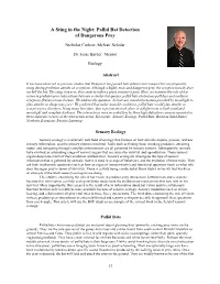 Pallid Bat Detection of Dangerous Prey