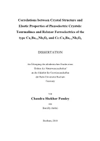 Tourmalines and Relaxor Ferroelectrics of The