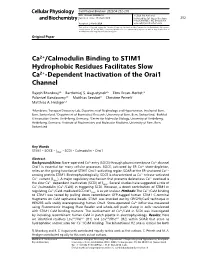 Ca2+/Calmodulin Binding to STIM1 Hydrophobic Residues Facilitates Slow Ca2+-Dependent Inactivation of the Orai1 Channel