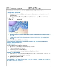 Is a Continuous Membrane System That Forms a Series of Flattened Sacs