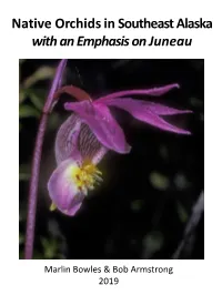 Native Orchids in Southeast Alaska with an Emphasis on Juneau