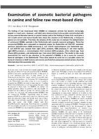 Examination of Zoonotic Bacterial Pathogens in Canine and Feline Raw Meat-Based Diets