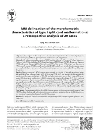 MRI Delineation of the Morphometric Characteristics of Type I Split Cord Malformations: a Retrospective Analysis of 29 Cases