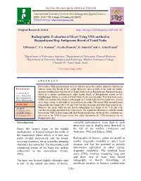 Radiographic Evaluation of Heart Using VHS Method in Rajapalayam Dog- Indigenous Breed of Tamil Nadu