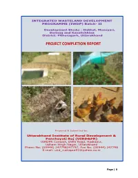 Project Completion Report