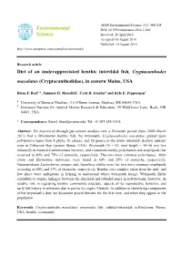 Diet of an Underappreciated Benthic Intertidal Fish, Cryptacanthodes Maculatus (Cryptacanthodidae), in Eastern Maine, USA