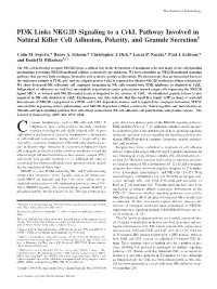 PI3K Links NKG2D Signaling to a Crkl Pathway Involved in Natural Killer Cell Adhesion, Polarity, and Granule Secretion1