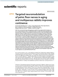 Targeted Neuromodulation of Pelvic Floor Nerves in Aging And