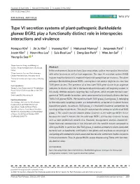 Type VI Secretion Systems of Plant‐Pathogenic Burkholderia Glumae BGR1 Play a Functionally Distinct Role in Interspecies Inter