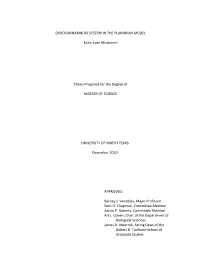 Endocannabinoid System in a Planarian Model