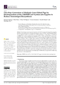 One-Step Generation of Multiple Gene-Edited Pigs by Electroporation of the CRISPR/Cas9 System Into Zygotes to Reduce Xenoantigen Biosynthesis