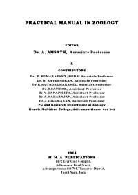Practical Manual in Zoology