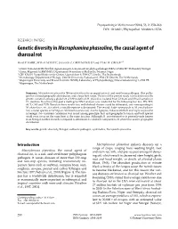 Genetic Diversity in Macrophomina Phaseolina, the Causal Agent of Charcoal Rot