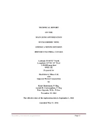 Page 1 TECHNICAL REPORT on the MAIN ZONE OPTIMIZATION