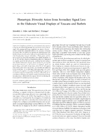 Phenotypic Diversity Arises from Secondary Signal Loss in the Elaborate Visual Displays of Toucans and Barbets