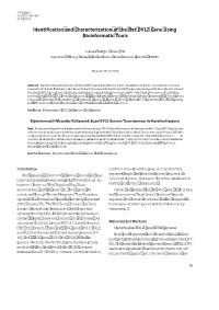 Identification and Characterization of the Rat DVL2 Gene Using