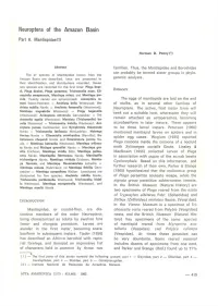 Neuroptera of the Amazon Basin