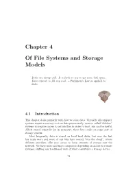 Of File Systems and Storage Models