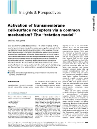Activation of Transmembrane Cell-Surface Receptors Via a Common Mechanism? the ‘‘Rotation Model’’