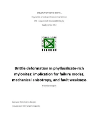 Brittle Deformation in Phyllosilicate-Rich Mylonites: Implication for Failure Modes, Mechanical Anisotropy, and Fault Weakness