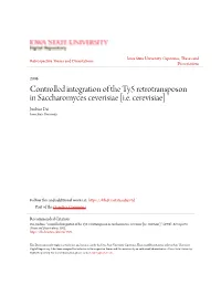 Controlled Integration of the Ty5 Retrotransposon in Saccharomyces Ceverisiae [I.E