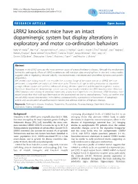 LRRK2 Knockout Mice Have an Intact