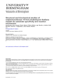 Structural and Biochemical Studies of Sulphotransferase 18 From